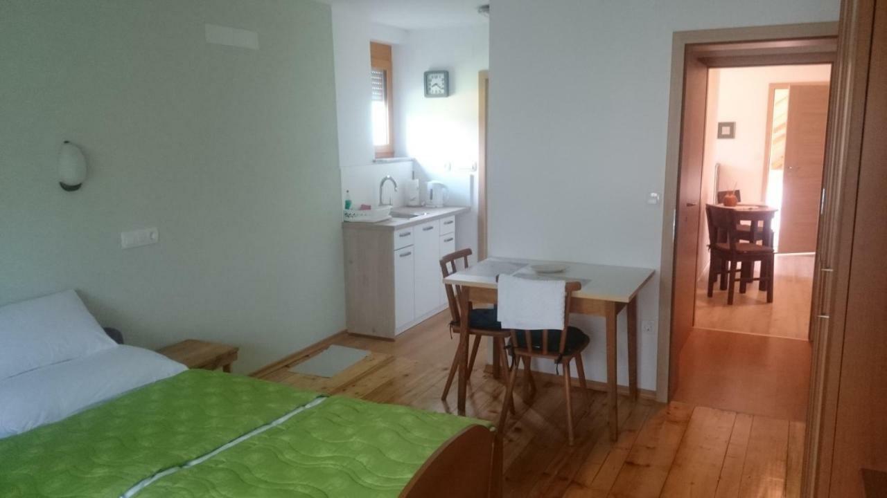 Apartma Smid Daire Škofja Loka Dış mekan fotoğraf